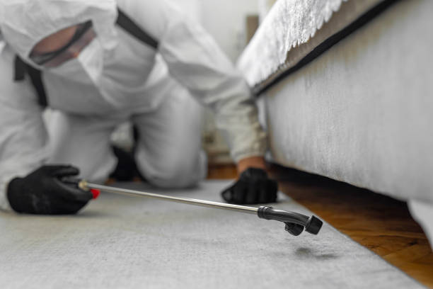 Professional Termite Control technician working in Westminster, CA