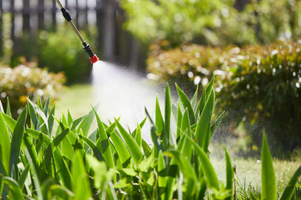 24/7 Emergency Termite Control experts in Westminster, CA